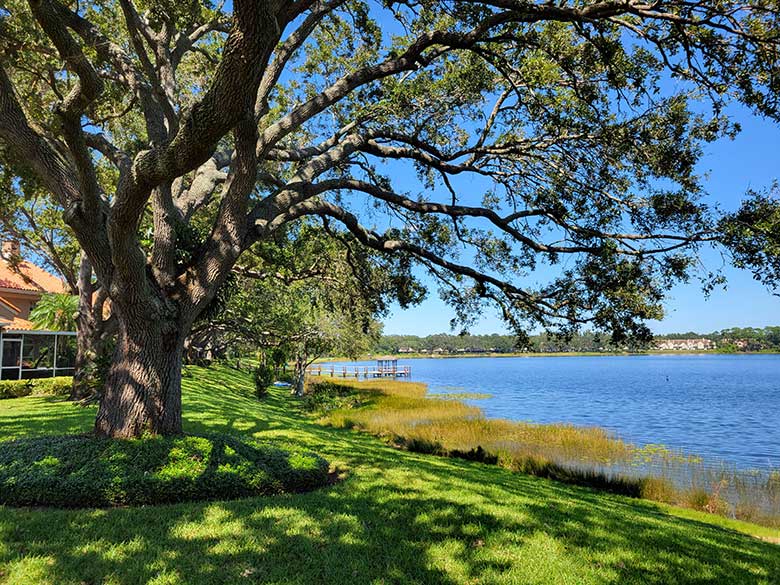 springlake