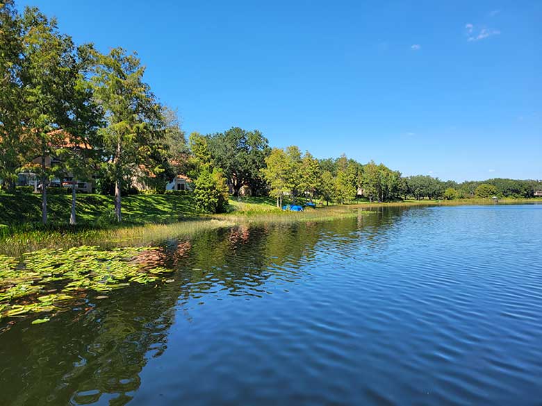 dr phillips community, lake